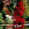 issam.issam612