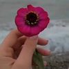 nilseher19