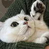pji__7_