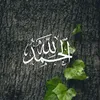 user5113693927651
