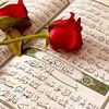 mohamedaminsoltan2