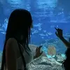 anaaaaa_.013