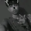souza7_zzx