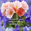 user7055106844093