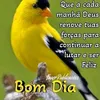 isaias.jesus5