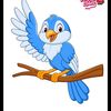 yadirapacheco76