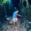 m.avidd_