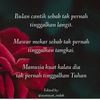 _nur8036