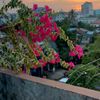 nay.naing.tu5