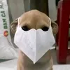meo_k1ttii