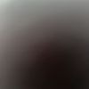 eitanmargalit0