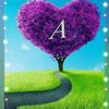 miss.you.ariful
