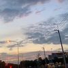 zxlcvaw_1779