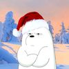 arctic_aesthetics11