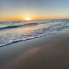 tom_37120