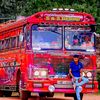 dula_bus_lover