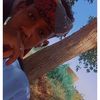 user52061358733202