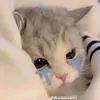 mesaigonphantom100
