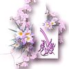 amazighiasicilia