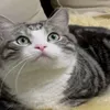 userpupafeoja4