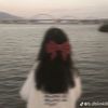 nasrin2395