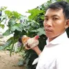 user434064690