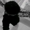 mouraxzy___
