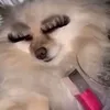 gabyi_28
