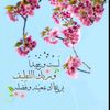 laila.mohamed648