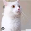 username_._itsmechulbhul
