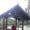 zaleha.zaleha42