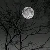 aleks_vasileva12