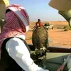ghazycav4we