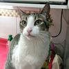 lily_43222