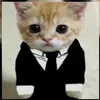 vitor_editor01