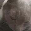 charlesazard0