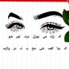sher.rahman803