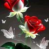 user2305040751712