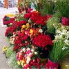 sorif.ahmed14