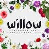 willow99125