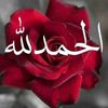 user8606815661974