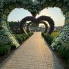 the_white_heart7