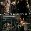 reyner540