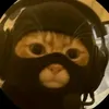 ancap.anonin