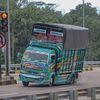 wong_senang08