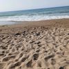 mimou_am84