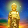 ptn.nguyen467