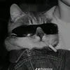 timon_111111