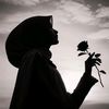 _zaa1206