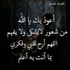 user7410329857242